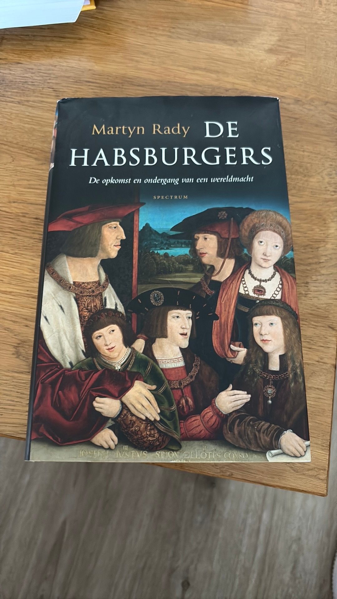 Martyn Rady - De Habsburgers, Boeken, Ophalen of Verzenden, Gelezen, Martyn Rady