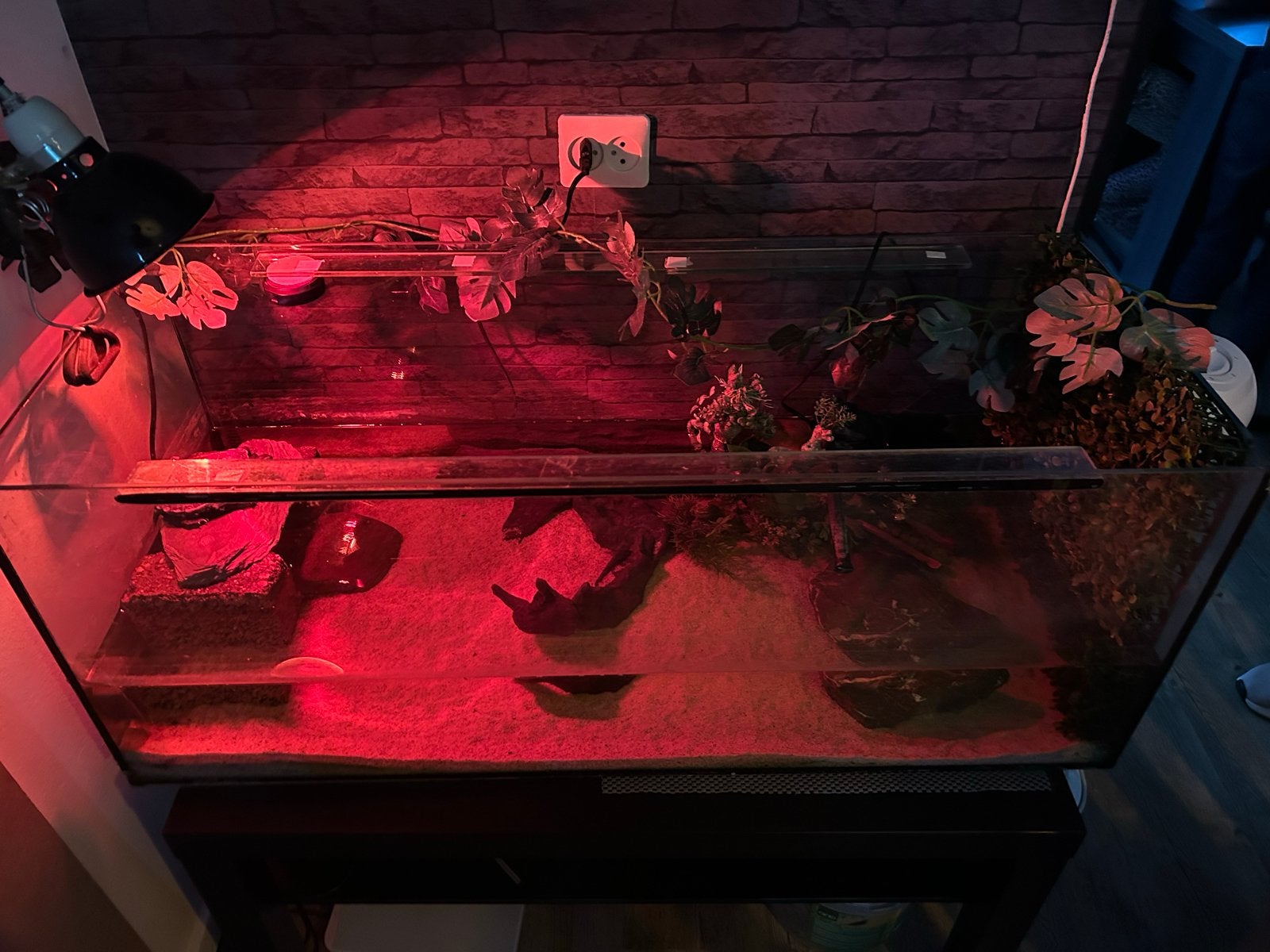 aquarium inclusief schildpad, Ophalen, Zo goed als nieuw
