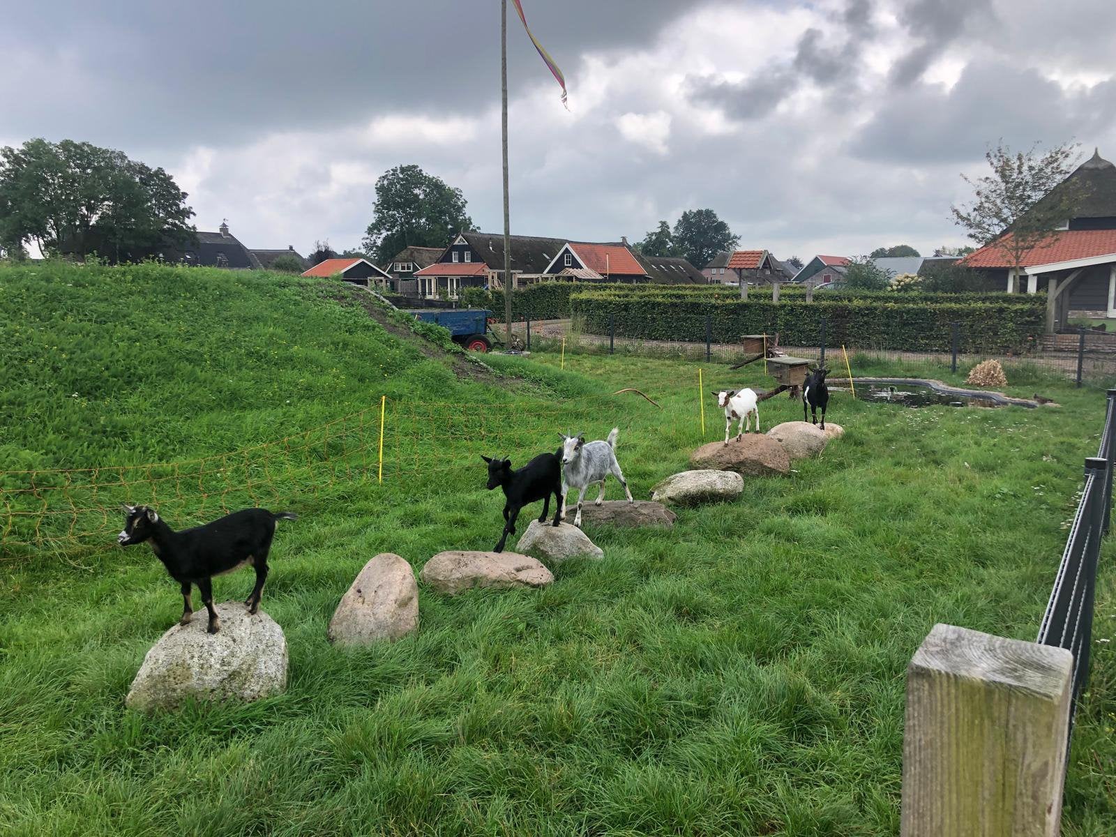 9 veldkeien, Ophalen, Gebruikt, Grijs, Kei