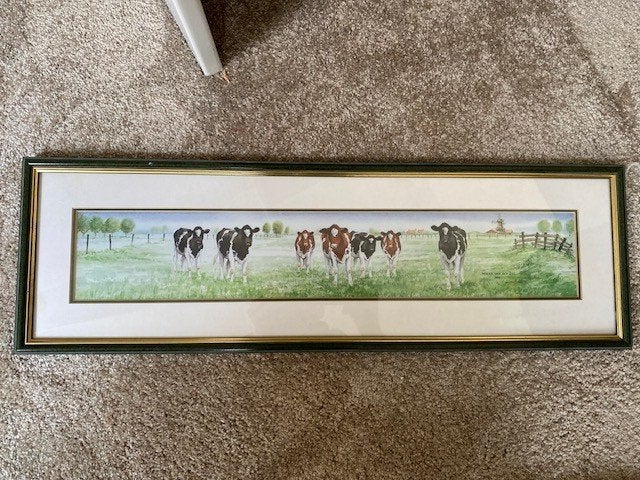 Fraai schilderij met koeien in het weiland, Ophalen, Achter glas, Oud hollands, Landschap