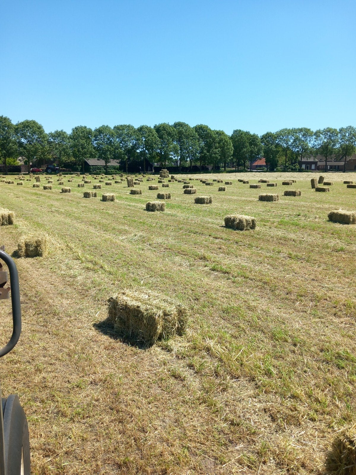 hooi pakken, Dieren en Toebehoren, Ophalen, Vee