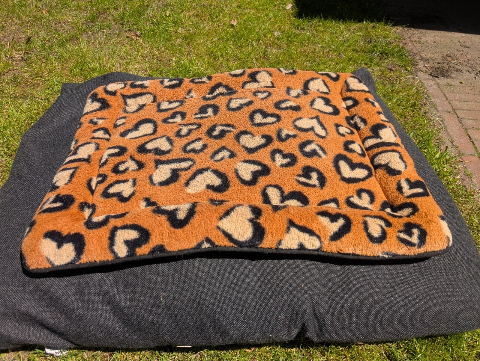 honden of katten mat 70 bij 50 cm, Ophalen, Zo goed als nieuw