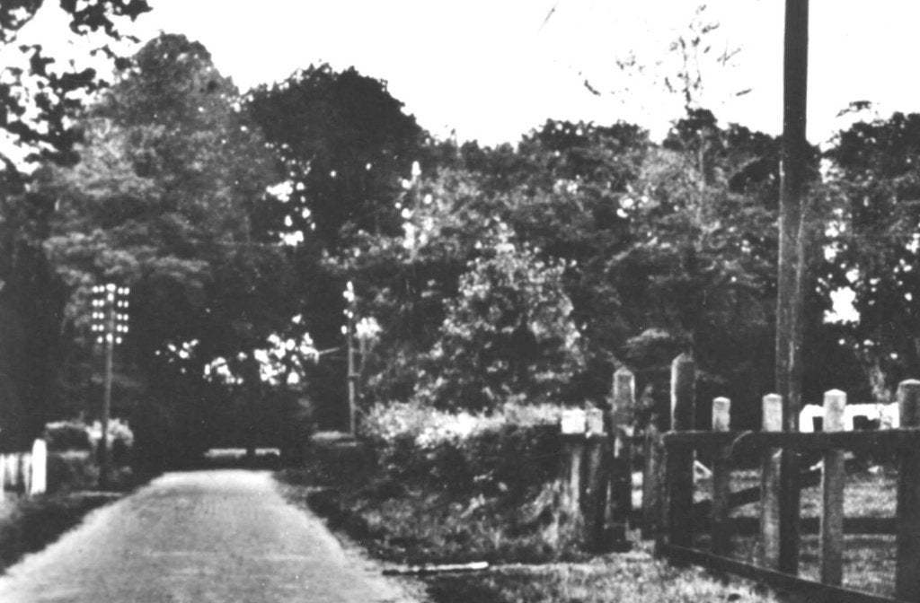 988561 Zorgvlied Drenthe 1956 Nette oude kaart Onbeschreven, Ophalen of Verzenden, 1940 tot 1960, Ongelopen, Drenthe
