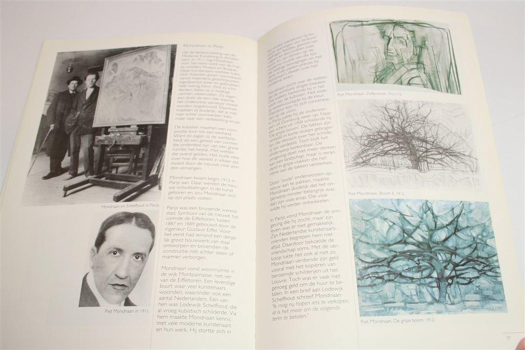 Mondriaan voor Beginners — Zijn Leven & Werk, Boeken, Ophalen of Verzenden, Zo goed als nieuw