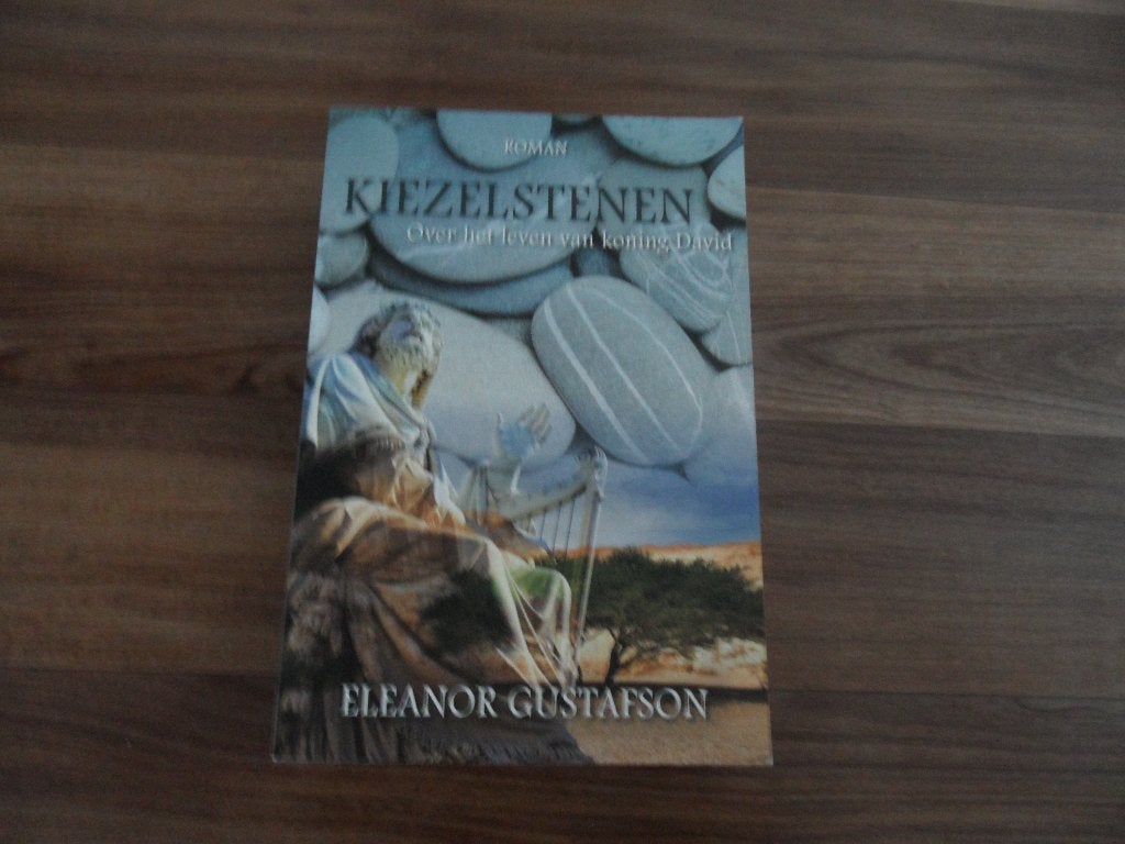 Kiezelstenen- Eleanor Gustafson, Ophalen of Verzenden, Gelezen