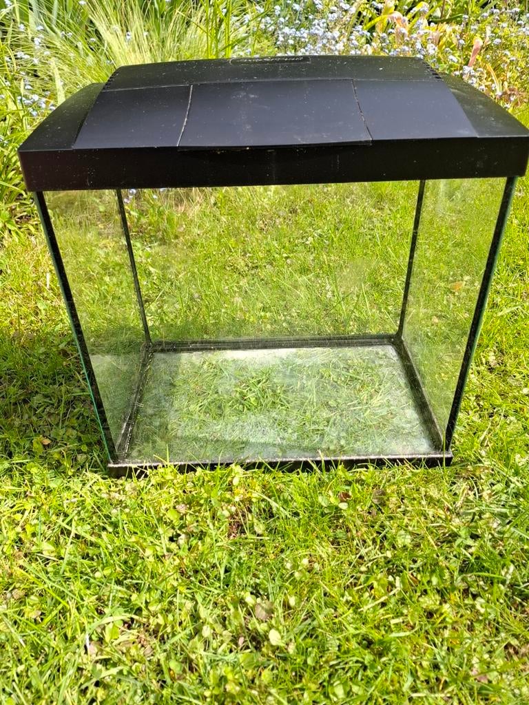 Klein Superfish aquarium, Ophalen, Leeg aquarium