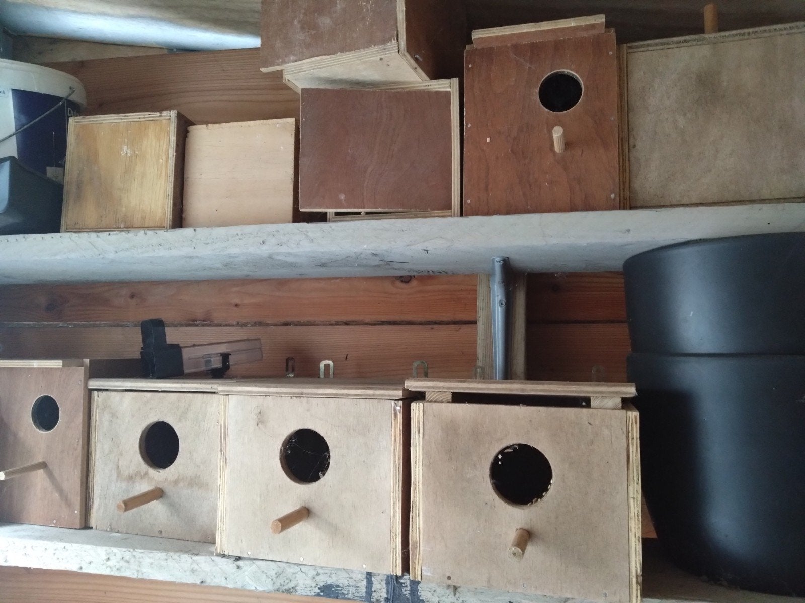 Gratis vogel hokjes, Ophalen