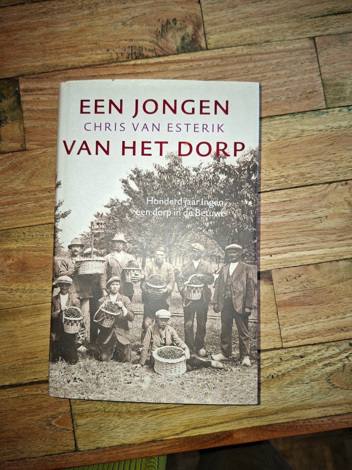 Een Jongen Van Het Dorp - Chris van Esterik, Ophalen of Verzenden, Gelezen, Chris van Esterik, Nederland