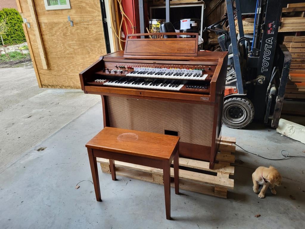 Electrisch orgel te koop., Ophalen, Gebruikt, 2 klavieren, Orgel