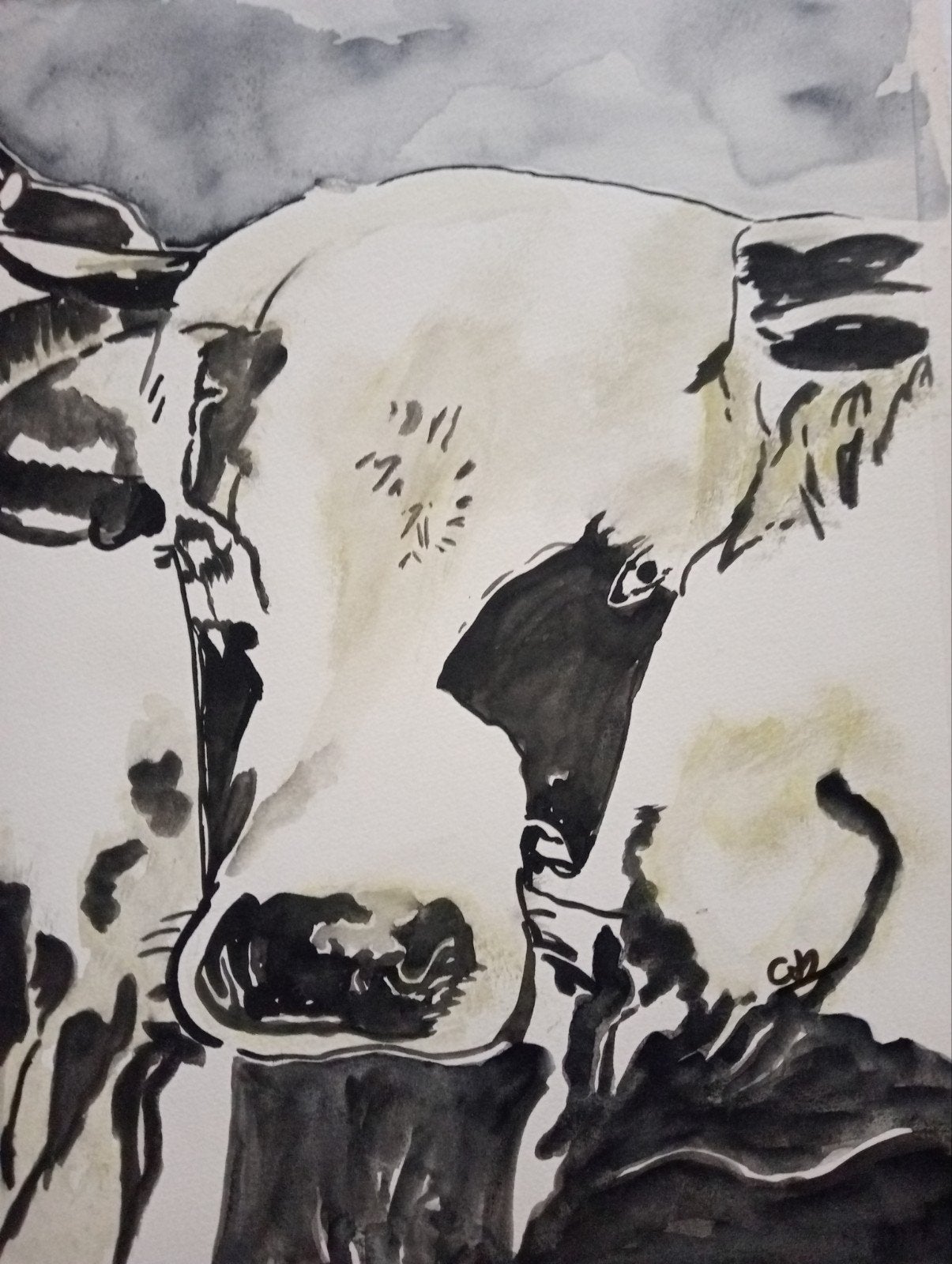 Aquarel met vee Koeien, Ophalen of Verzenden