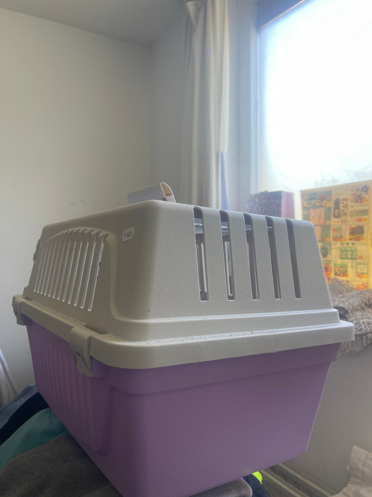 Niet gebruikte Katten/kleine honden vervoersbox, Dieren en Toebehoren, Ophalen of Verzenden