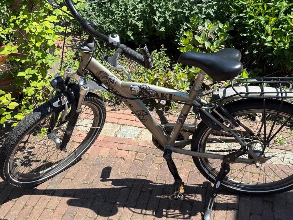 Batavus Snake 22 inch jongensfiets, Ophalen, 22 inch, Gebruikt, Velgrem