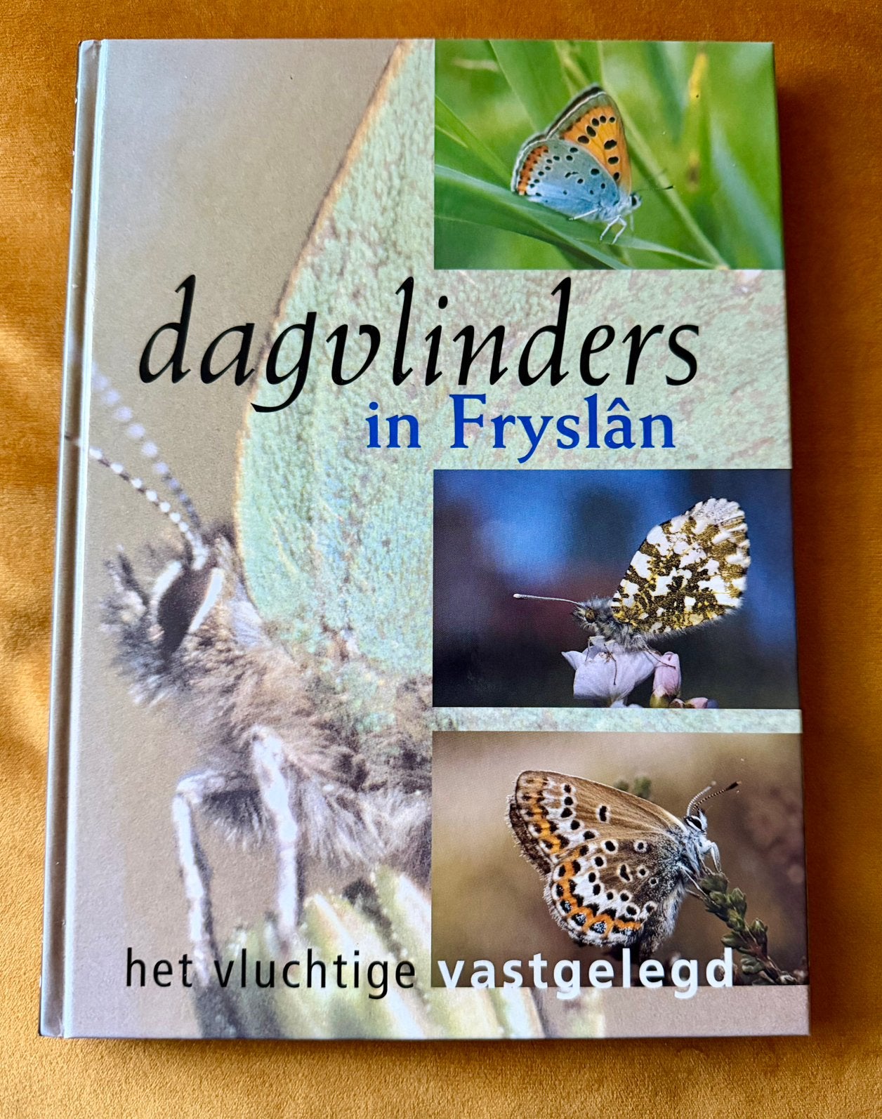 Dagvlinders in Fryslân, Ophalen of Verzenden, Zo goed als nieuw, Natuur algemeen