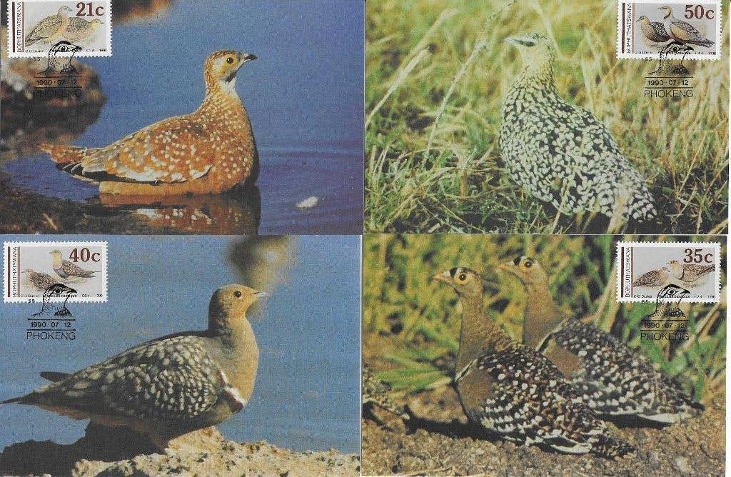 Zuid Afrika 4 maxikaarten vogels patrijs Bophuthatswana, Verzenden, Zuid-Afrika, Gestempeld