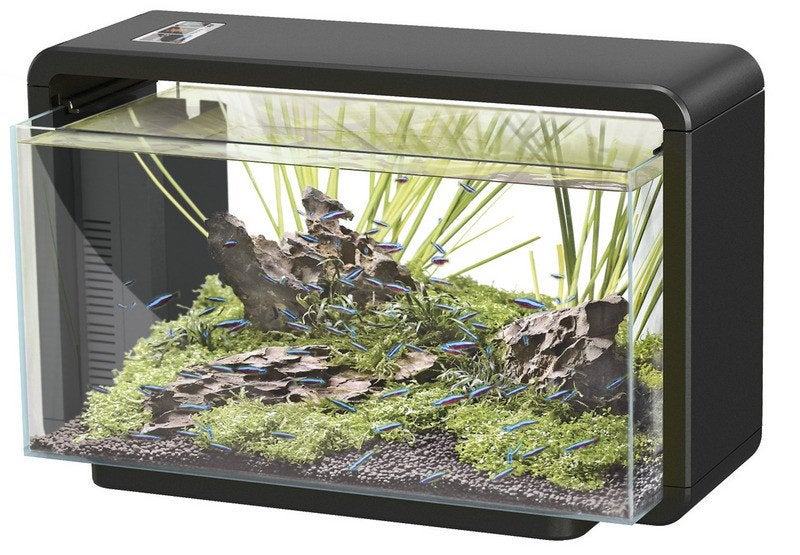 Superfish Home 30 Aquarium, Ophalen, Gebruikt, Leeg aquarium, Superfish