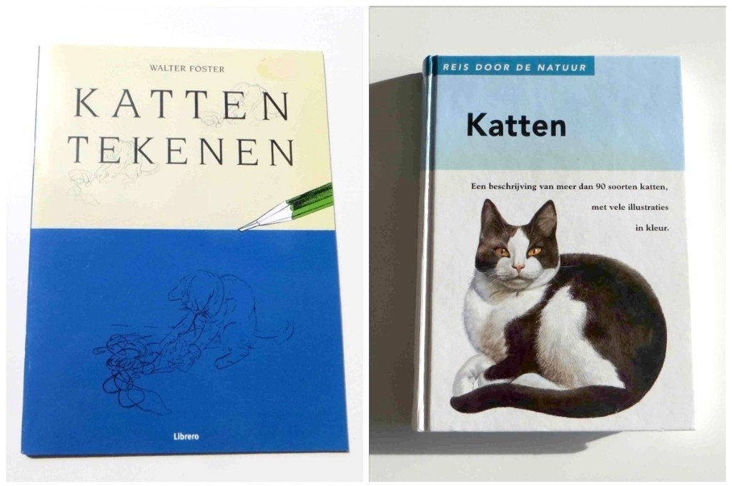Tekenboek M3802: Katten tekenen + naslagwerk katten 15+, Ophalen of Verzenden, Zo goed als nieuw, Tekenen en Schilderen, Geschikt voor kinderen