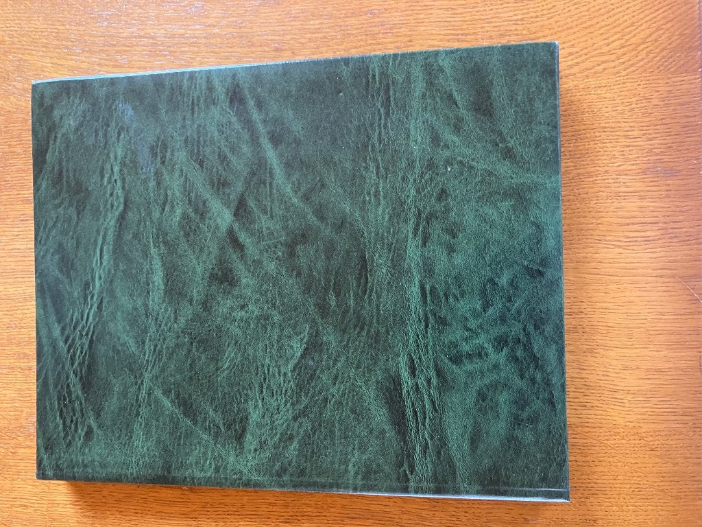 postzegelmap met bladen, Postzegels en Munten, Postzegels | Toebehoren, Ophalen of Verzenden, Verzamelalbum