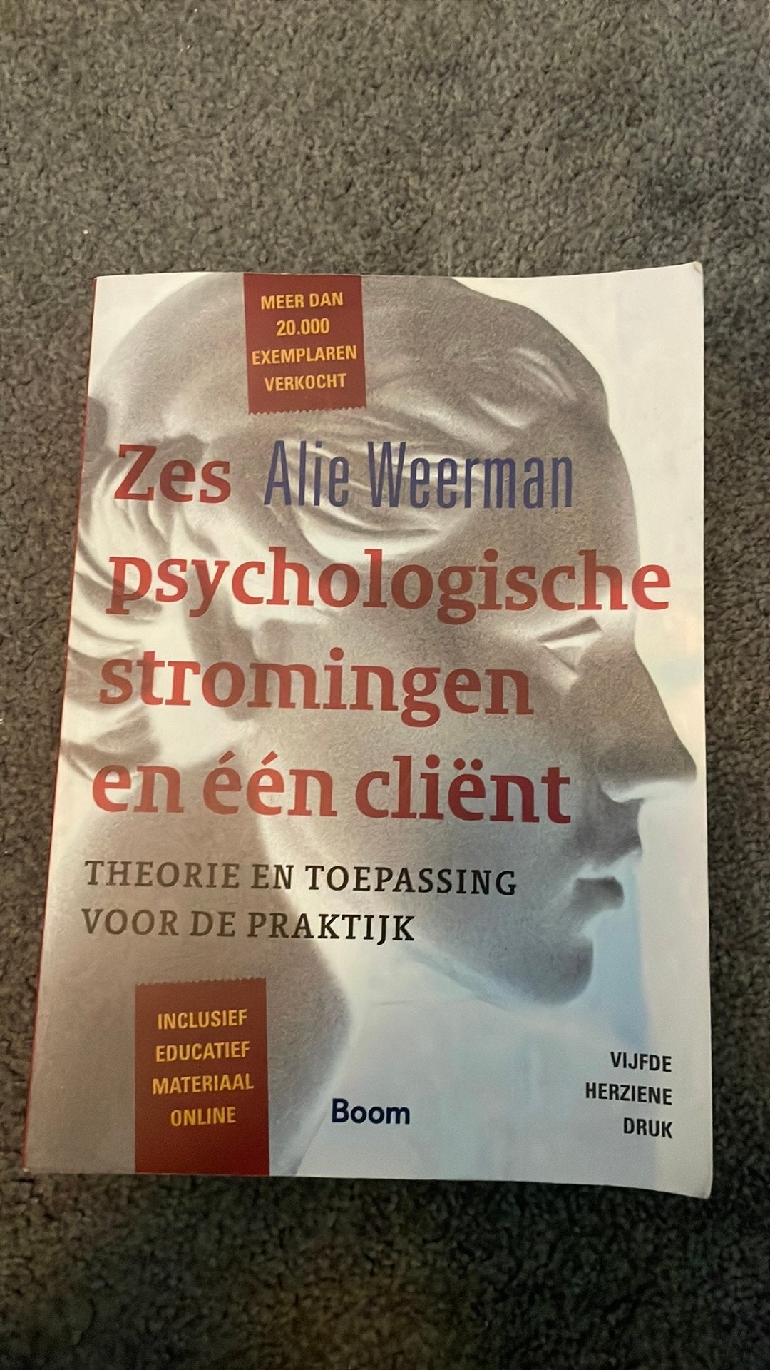 Boek: zes psychologische stromingen en één cliënt, Boeken, Ophalen of Verzenden, Zo goed als nieuw