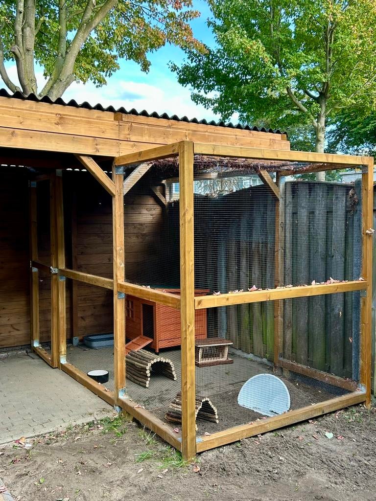 Vakantieopvang Konijnen, cavia’s en kleine knagers ️, Ophalen, Nieuw