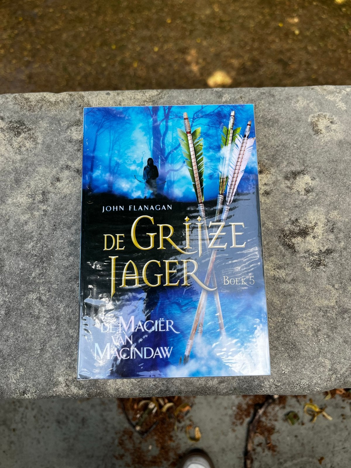 De Grijze Jager Boek 5: De Magiër van Macindaw, Boeken, Ophalen of Verzenden, Nieuw
