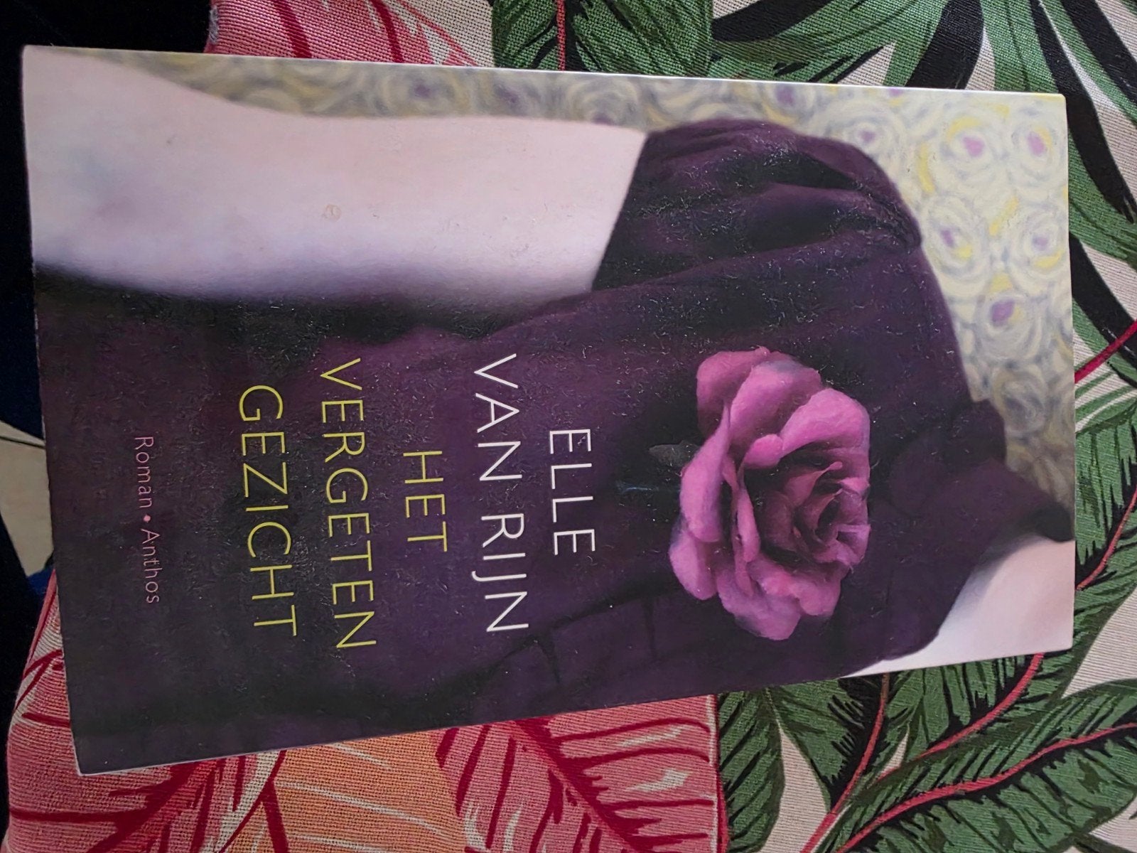 Het Vergeten Gezicht - Elle van Rijn (Roman), Boeken, Ophalen of Verzenden, Gelezen, Elle van Rijn, Nederland