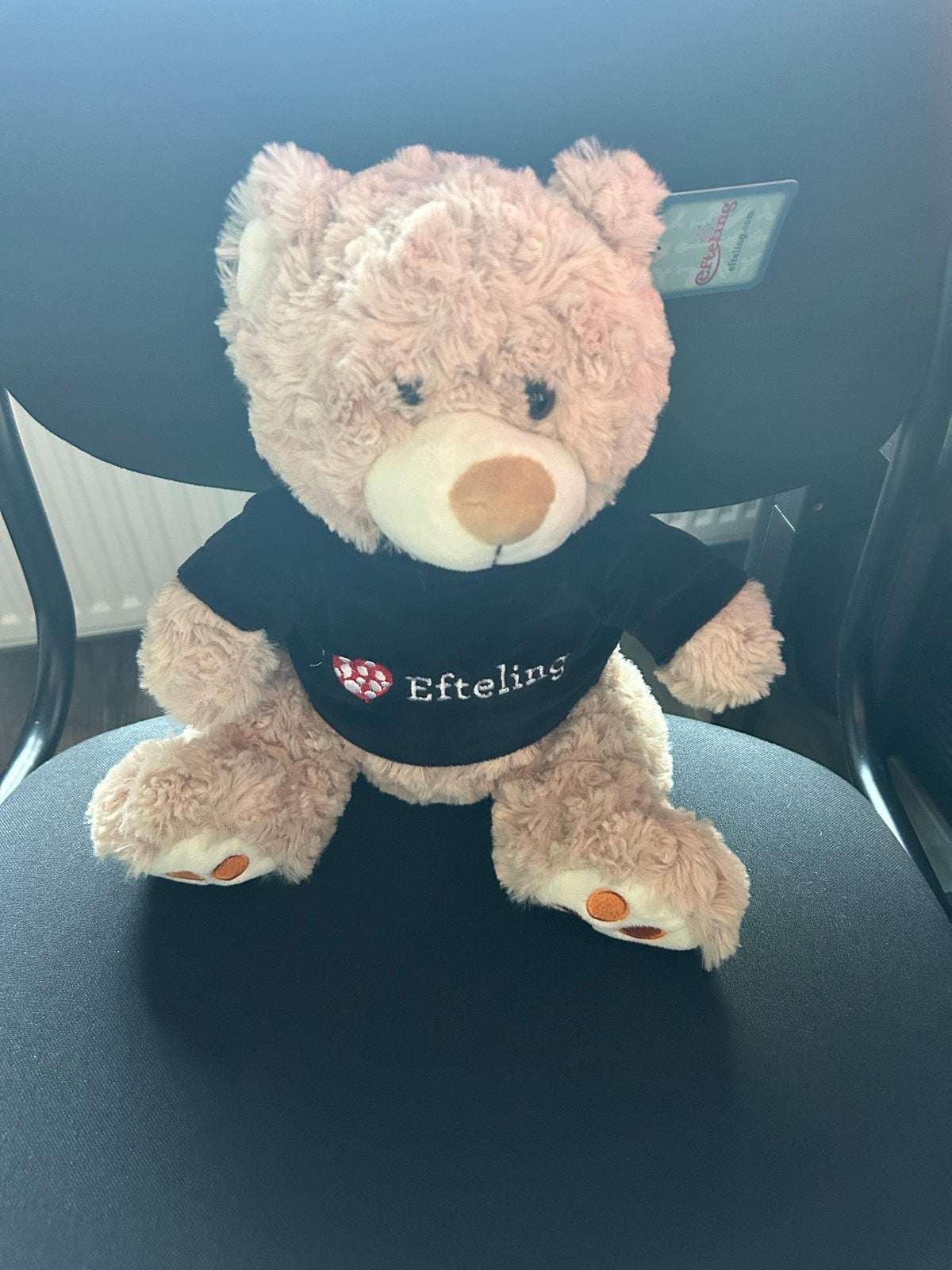 Efteling knuffelbeer met T-shirt, Ophalen of Verzenden, Nieuw