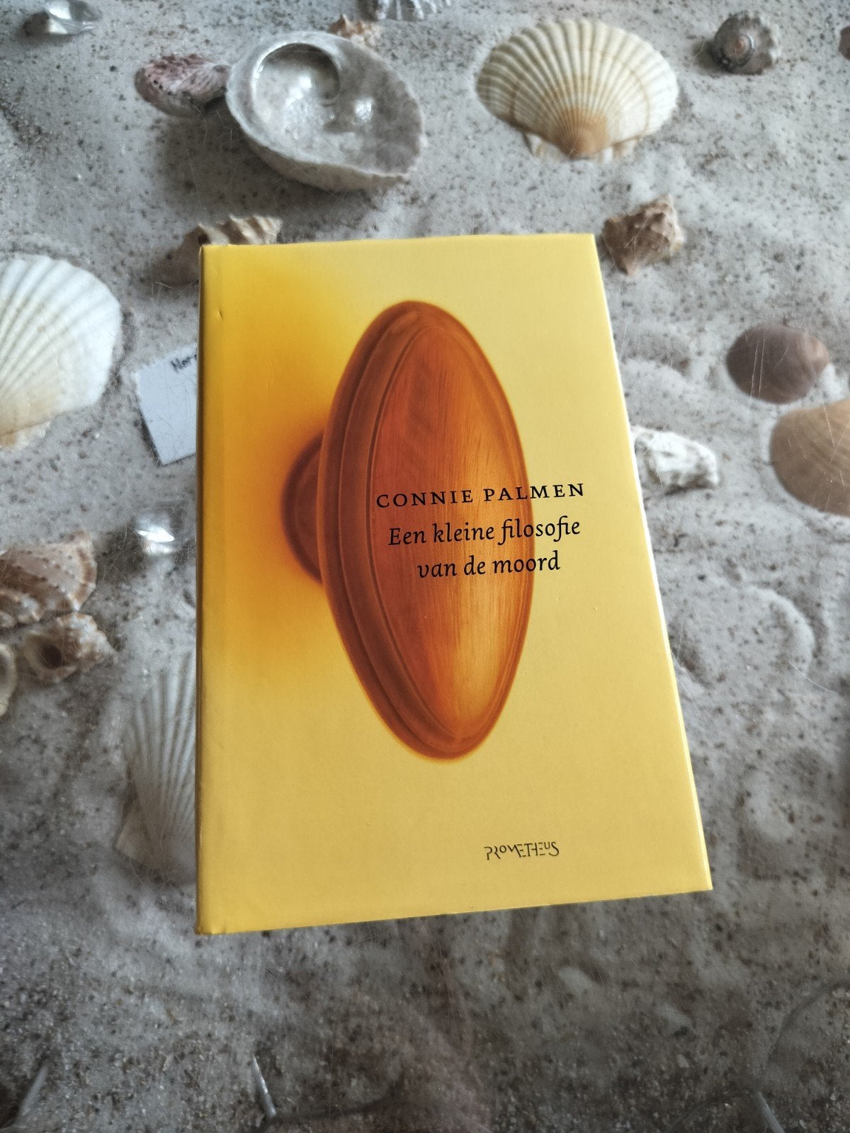 Connie Palmen - Een kleine filosofie van de moord, Gelezen, Ophalen of Verzenden, Connie Palmen