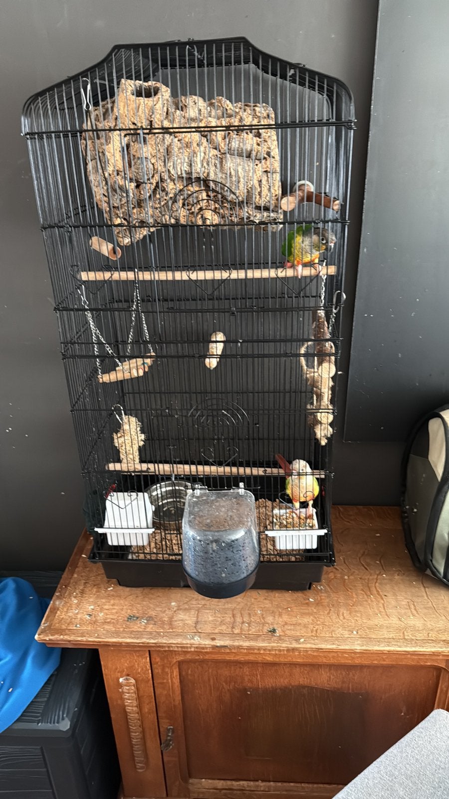 2 pyrrhuras te koop, Dieren en Toebehoren, Ophalen, Zo goed als nieuw, Metaal, Vogelkooi