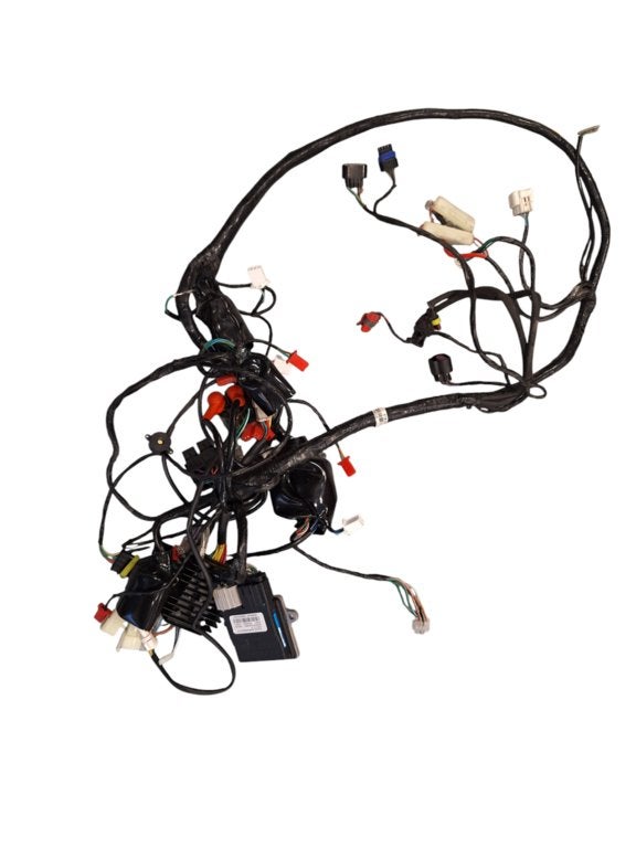 Kabelboom ecu spanningsregelaar origineel La Souris Sourini, Gebruikt, Ophalen of Verzenden