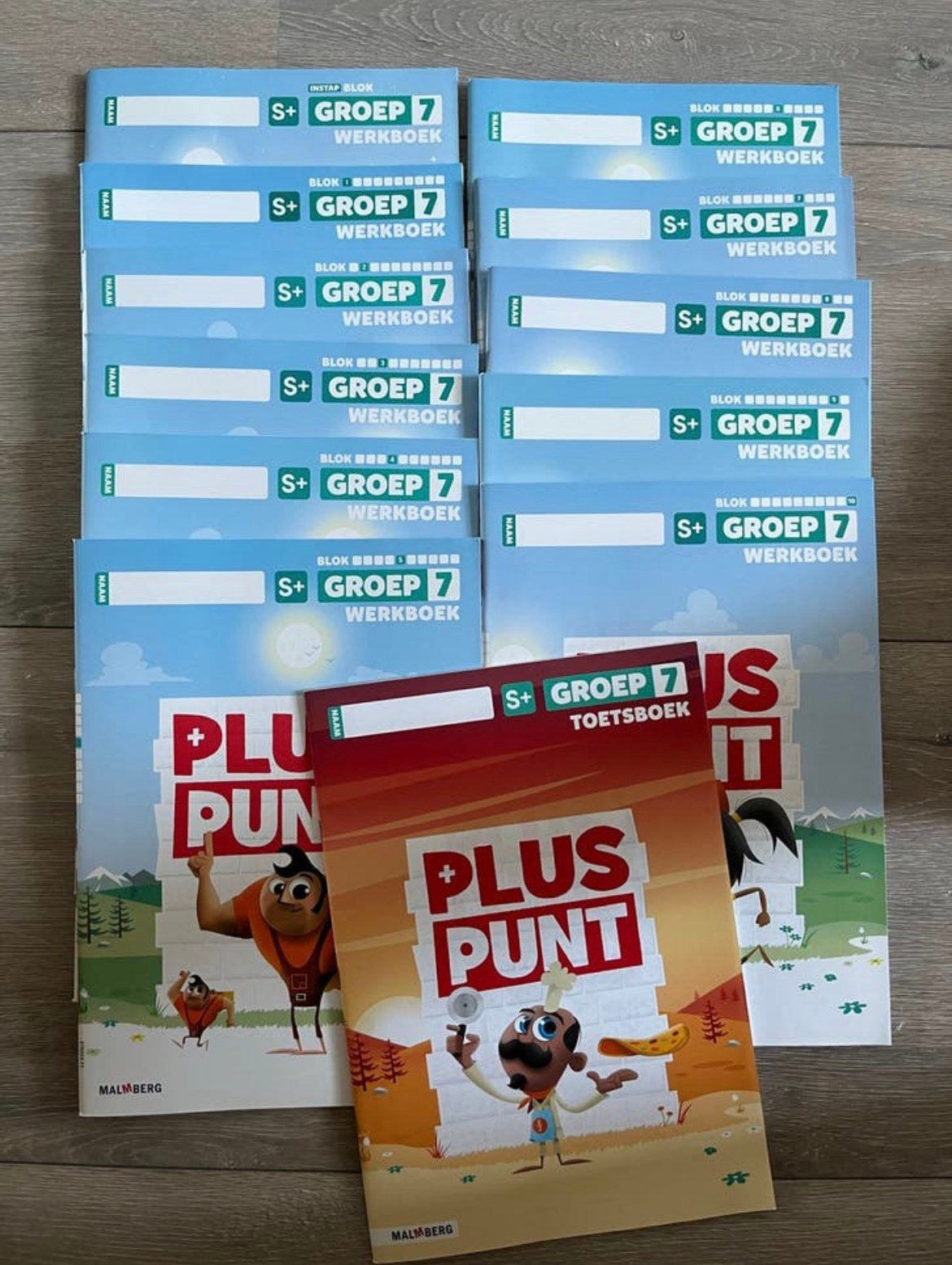 Pluspunt rekenen werkboeken set groep 7 nieuw!, Ophalen of Verzenden, Nieuw, Overige niveaus, Nederlands