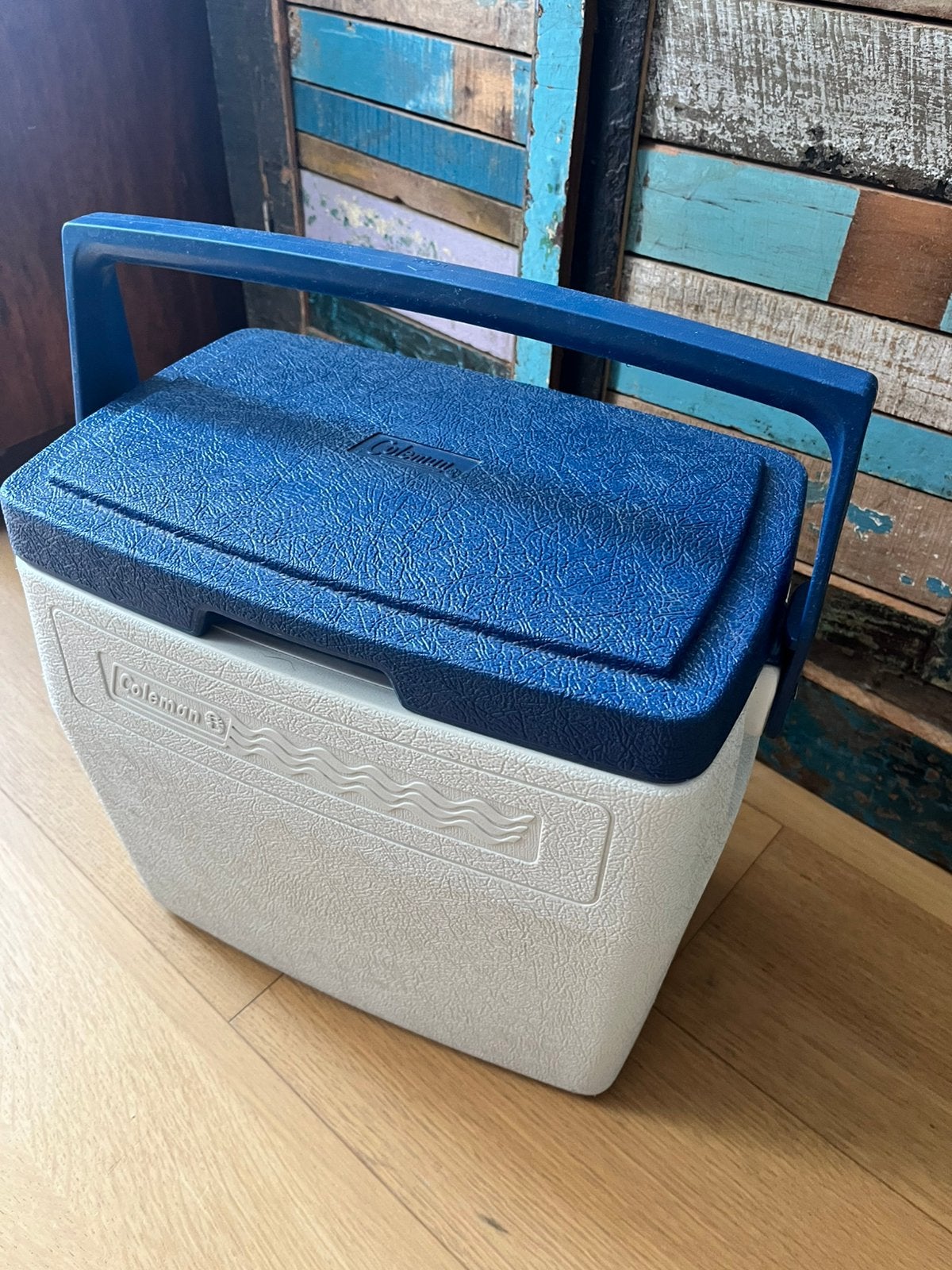 Klassieke Colemann koelbox in nette schone staat, Ophalen, Gebruikt, Koelbox, Koelelement