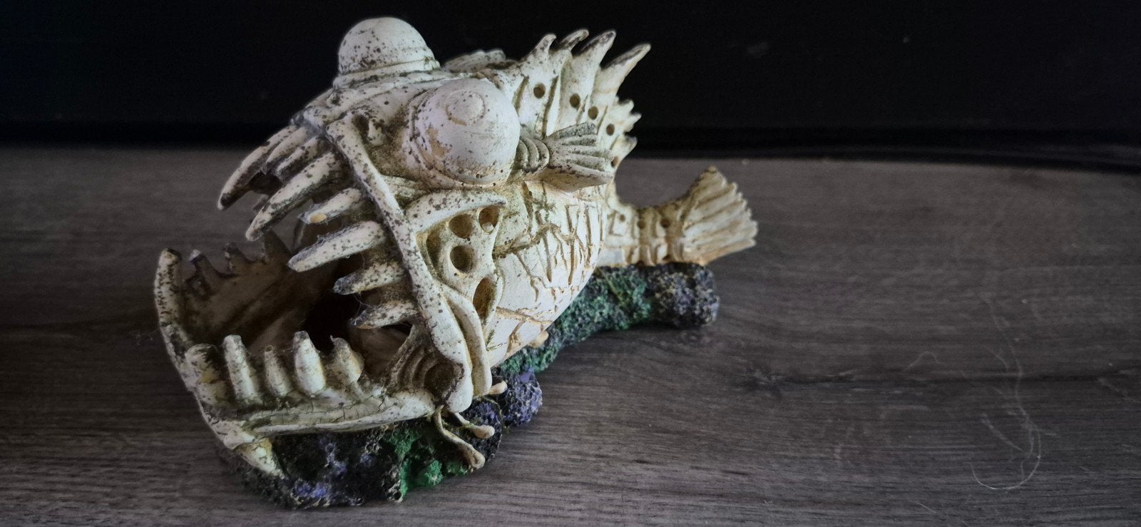 deco superfish LED Monster vis, Ophalen of Verzenden, Decoratie, Superfish