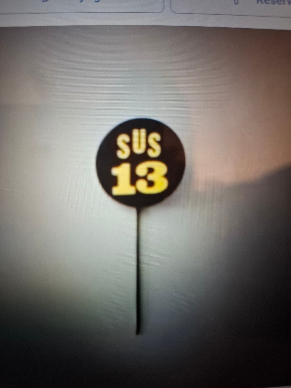 Speldje SUS 13, Ophalen of Verzenden, Zo goed als nieuw, Merk, Speldje of Pin