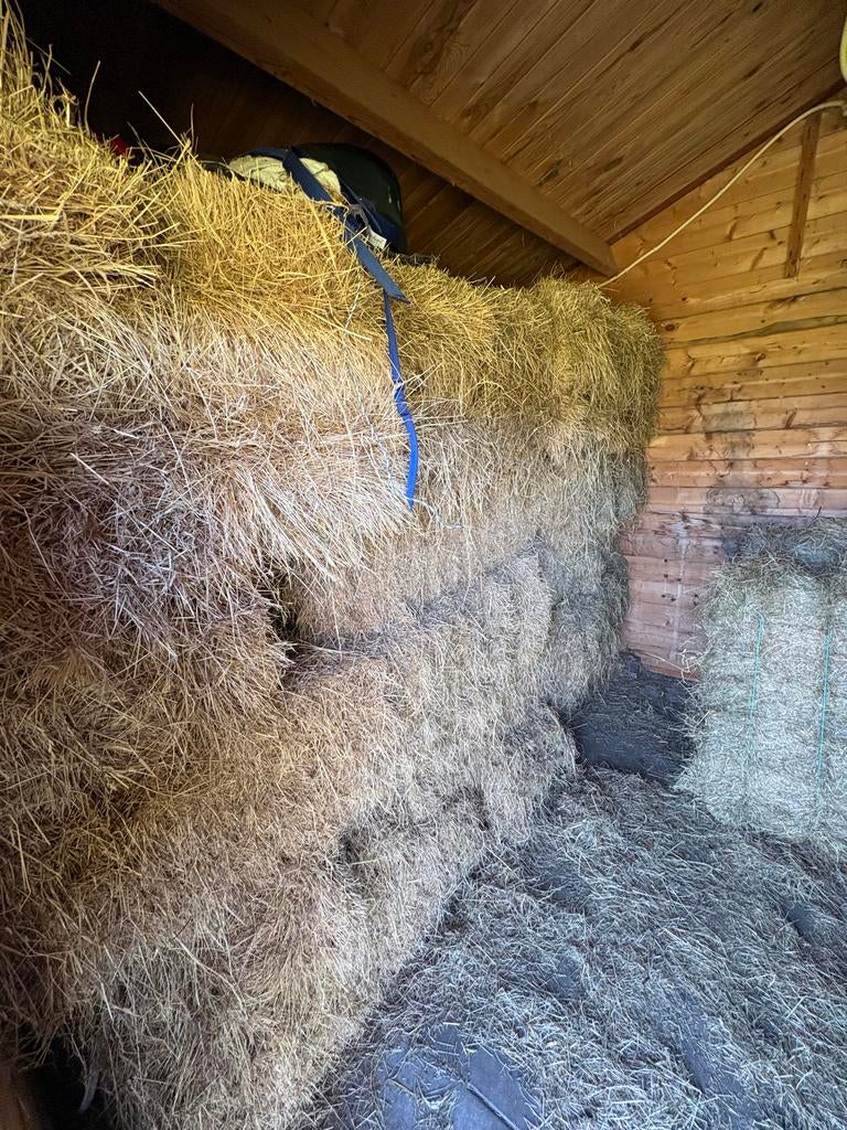 Kleine pakjes Hooi, Dieren en Toebehoren, 0 tot 2 jaar