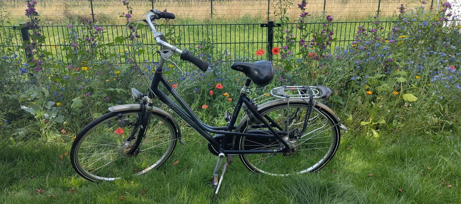 Gazelle Davos Damesfiets 7 versnellingen Alles werkt goed, Fietsen en Brommers, Fietsen | Dames | Damesfietsen, Ophalen, 53 tot 56 cm