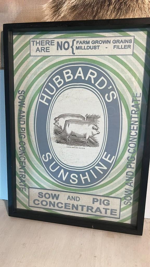 Vintage boerderij poster varkens - repro (prijs per stuk), Ophalen, Gebruikt