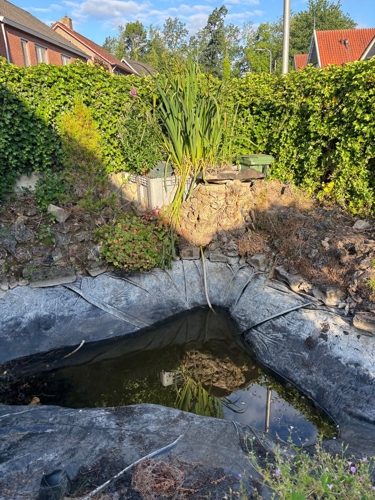 Vijver met filter en planten, Tuin en Terras, Ophalen, Gebruikt