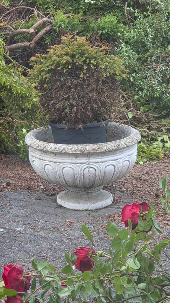 Betonnen bloempot, Tuin en Terras, Bloempotten, Ophalen, Rond, 40 cm of meer, 40 tot 70 cm