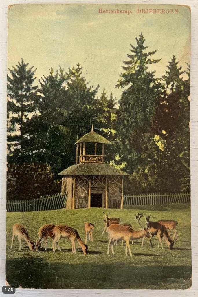 Oude Ansichtkaart - Driebergen - Hertenkamp, Ophalen of Verzenden, Voor 1920, Gelopen, Utrecht
