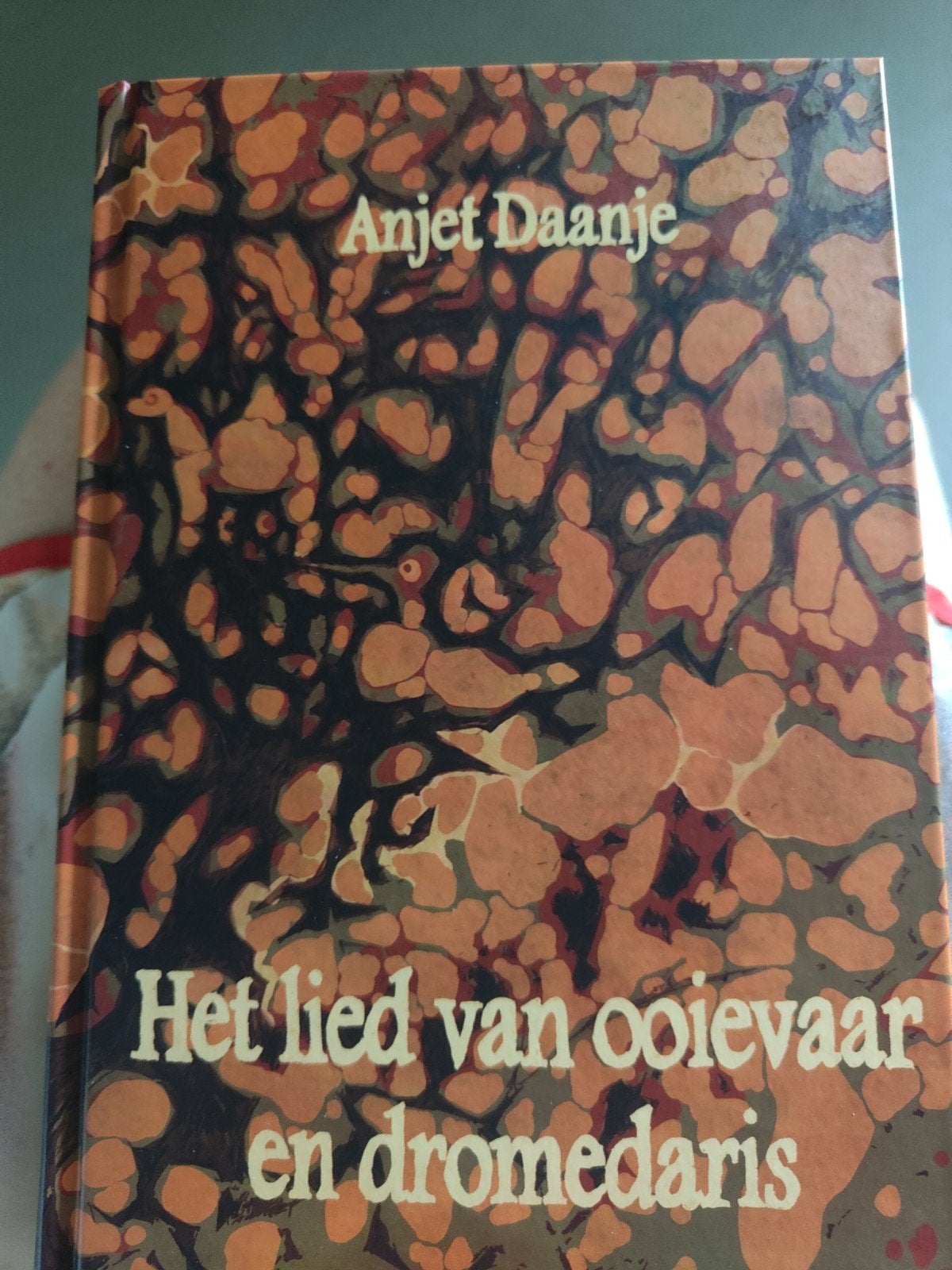 Anjet Daanje - Het lied van ooievaar en dromedaris, Ophalen of Verzenden, Zo goed als nieuw, Anjet Daanje