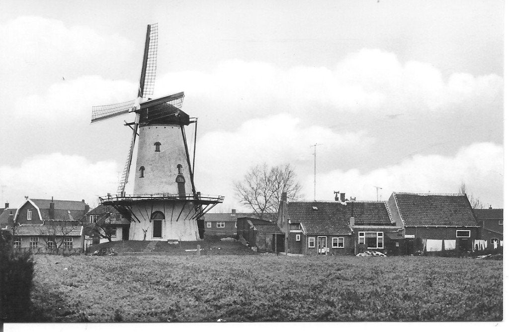 Oude ansichtkaart Korenmolen "De Koornbloem" Poortvliet, Verzamelen, Ansichtkaarten | Nederland, Ophalen of Verzenden, 1960 tot 1980