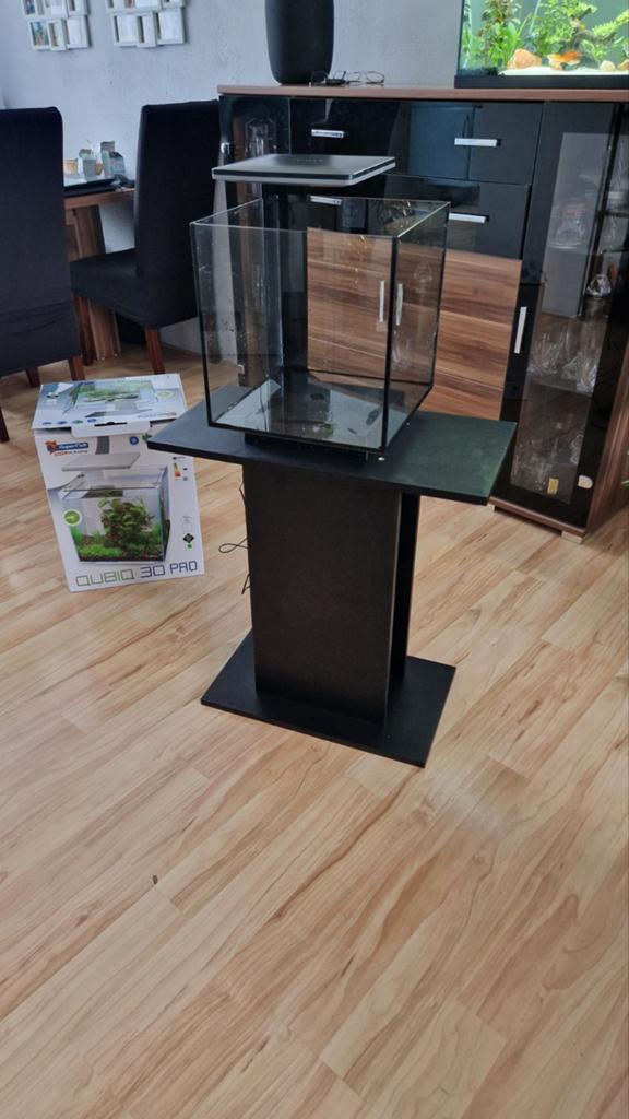 Aquarium met onderstel, Vis