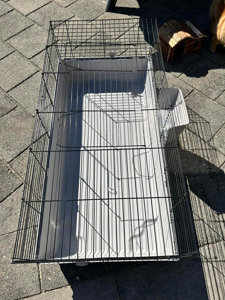 Konijnen kooi, Kooi, 110 cm of meer, Zo goed als nieuw, Cavia
