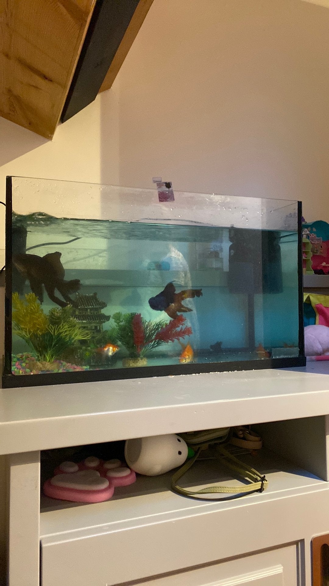 ‼️Aquarium met toebehoren…‼️, Ophalen, Decoratie, Inclusief toebehoren, Zo goed als nieuw