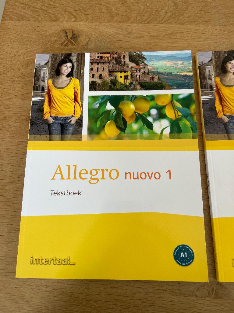 Allegro nuovo tekst en werkboek Italiaans, Boeken, Ophalen of Verzenden, Beta, Nieuw, Niet van toepassing