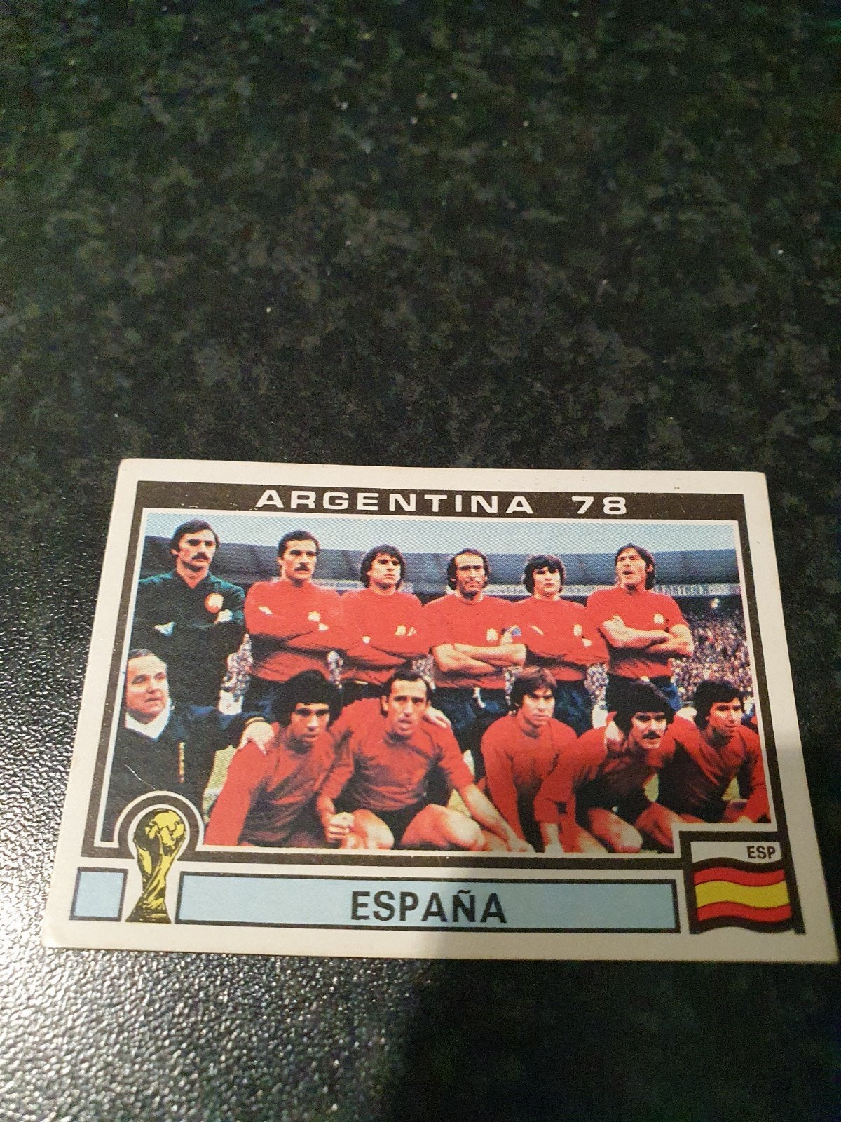 Panini Argentina 78- Nmr 206, Ophalen of Verzenden, Zo goed als nieuw, Plaatje