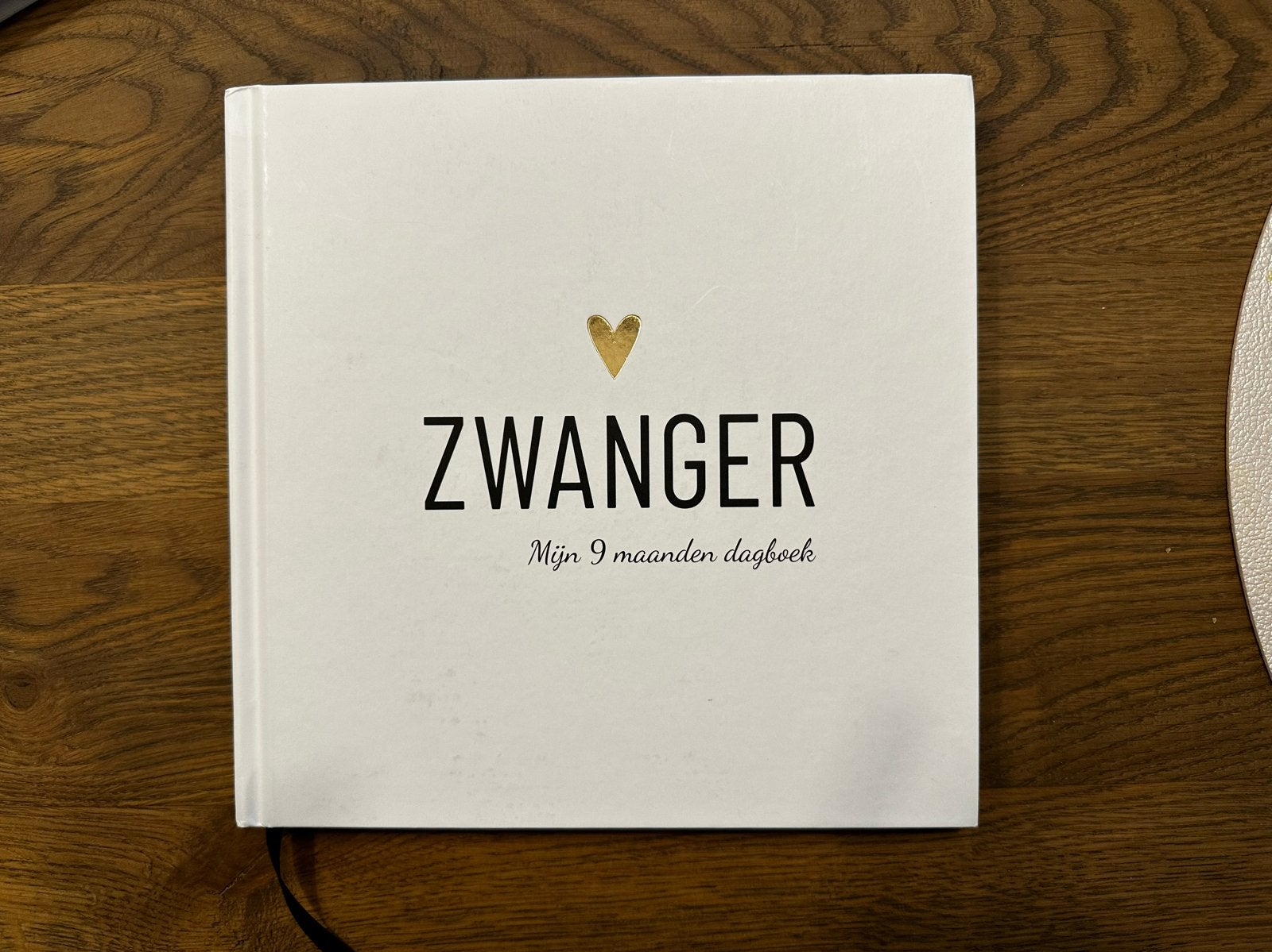 Zwanger: Mijn 9 maanden dagboek - Nieuw, Ophalen of Verzenden, Nieuw, Zwangerschap en Bevalling