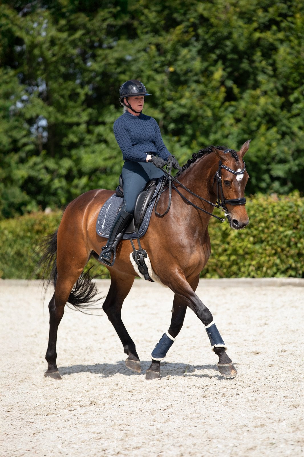 Allround dressuurmerrie, Merrie, Dressuurpaard, 11 jaar of ouder, 165 tot 170 cm
