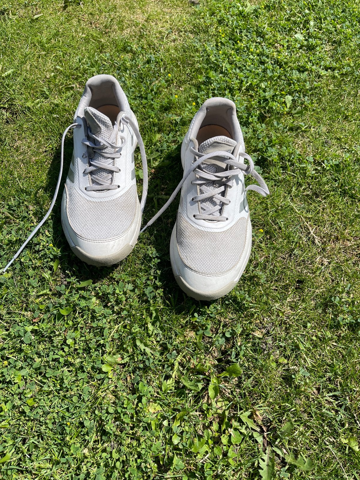 Gebruikte Adidas golfschoenen maat 8,5, Ophalen of Verzenden, Gebruikt, Schoenen, Overige merken