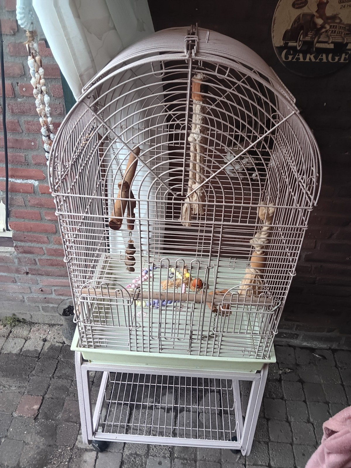 Mooie kooi, Dieren en Toebehoren, Ophalen